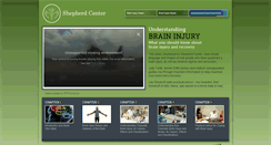 Desktop Screenshot of braininjury101.org
